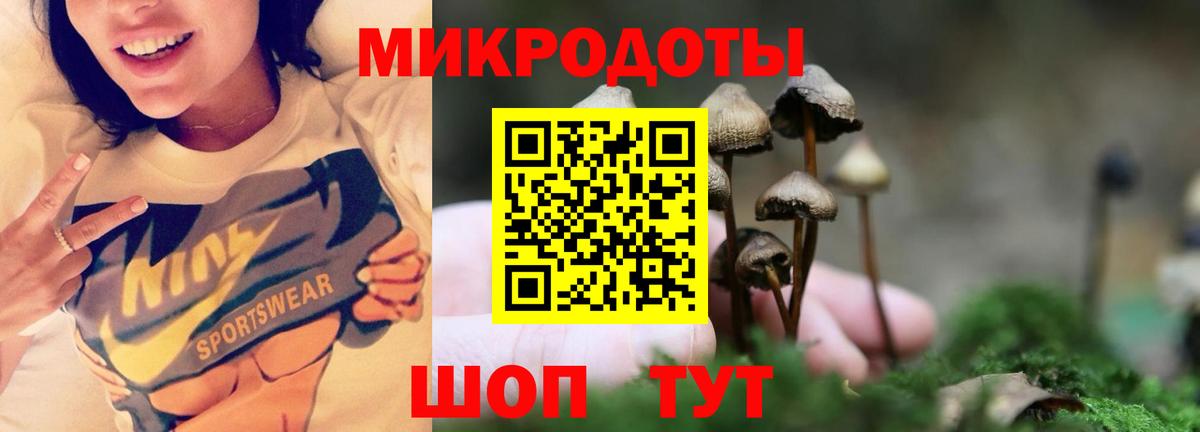 Красноуфимск  Псилоцибиновые грибы MAGIC MUSHROOMS  Псилоцибиновые грибы прущие грибы  Вход с VPN 